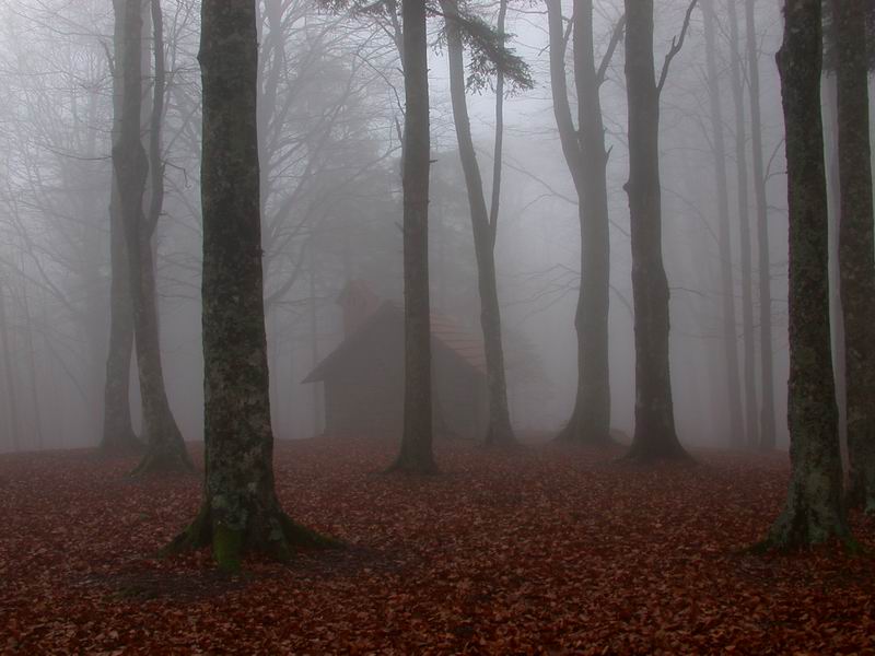 Una folta nebbia...